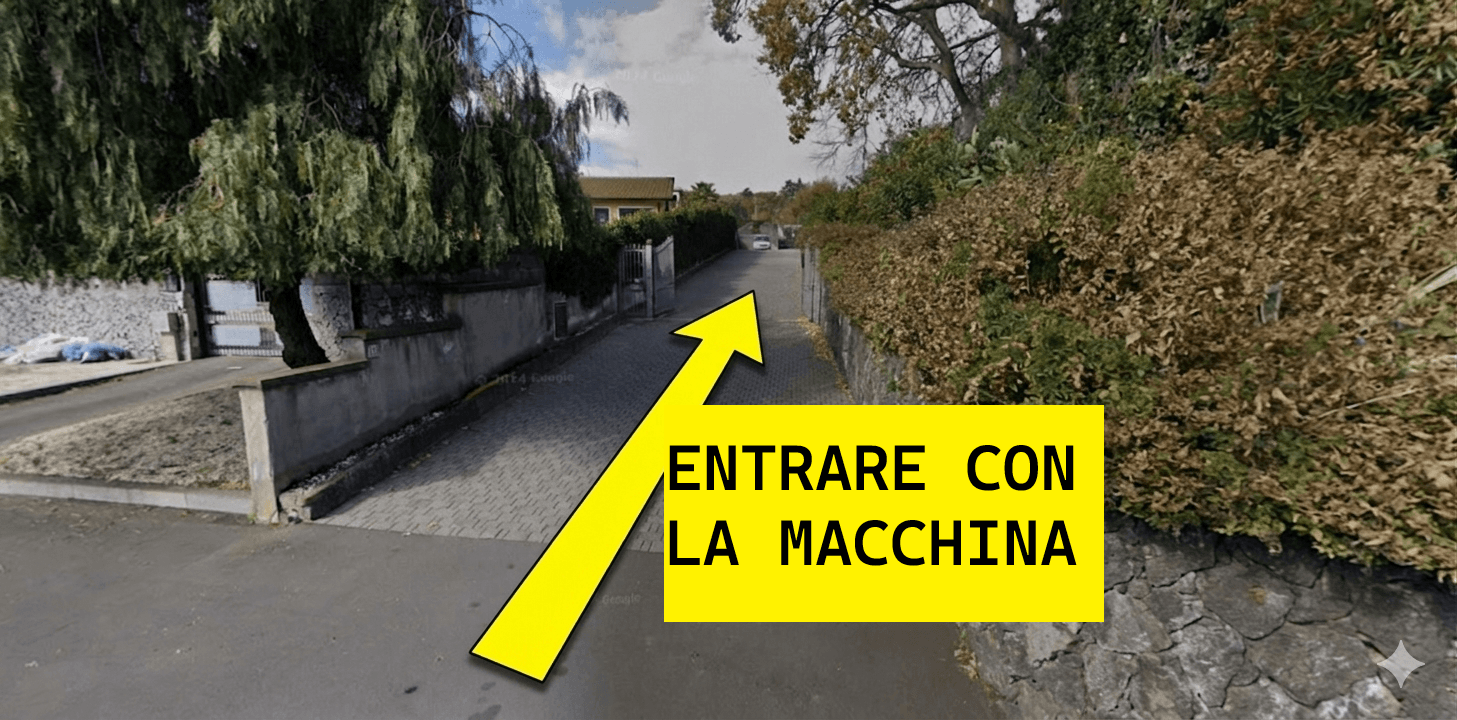 Google Street View